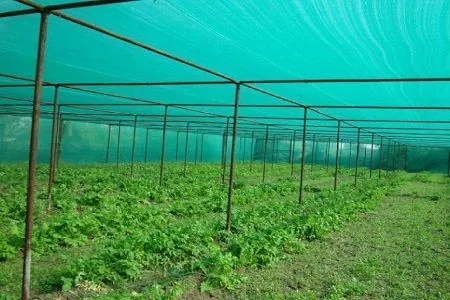 Agro Shade Nets